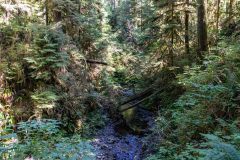 2022-09-Olympic-NP-259