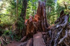 2022-09-Olympic-NP-271-Pano