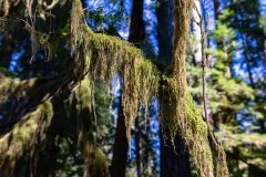 2022-09-Olympic-NP-276