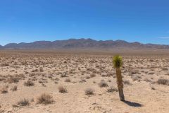 2022-04-Death-Valley-002