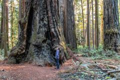 2022-10-Redwood-NP-039