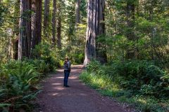 2022-10-Redwood-NP-195