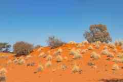 2023-07-Hardap-NWR-082-sh