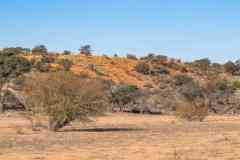 2023-07-Hardap-NWR-087-sh