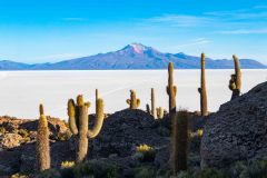 2022-12-Uyuni-085