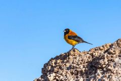 2022-12-Uyuni-123