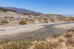 2022-04-Death-Valley-395