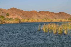 2022-04-Colorado-river-137