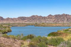 2022-04-Colorado-river-169