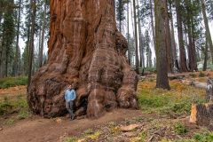 2022-10-Sequoia-NP-073