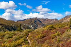 2022-08-Kluane-NP-100