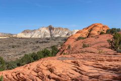 2022-05-Snow-Canyon-SP-002