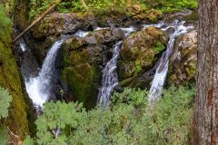 2022-09-Olympic-NP-075-Pano