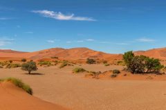 2023-08-Sossusvlei-185-Pano