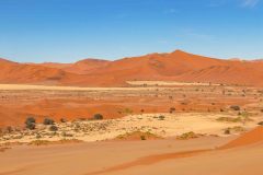 2023-08-Sossusvlei-241