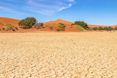 2023-08-Sossusvlei-275