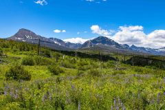 2022-06-Glacier-NP-327