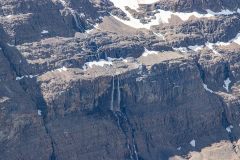 2022-07-Icefield-Parkway-156