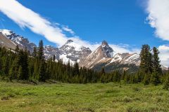 2022-07-Icefield-Parkway-191