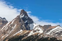 2022-07-Icefield-Parkway-195