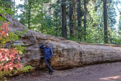 2022-10-Yosemite-NP-049