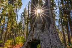 2022-10-Yosemite-NP-063-Pano