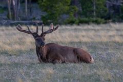 2022-06-Rocky-Mountains-NP-112