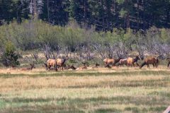 2022-06-Rocky-Mountains-NP-340