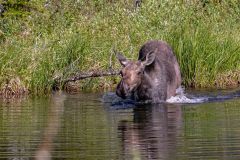 2022-06-Glacier-NP-010