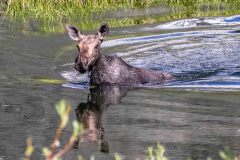 2022-06-Glacier-NP-018