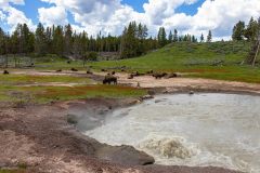 2022-06-Yellowstone-353