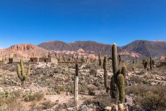 2023-06-Quebrada-de-Humahuaca-145