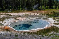 2022-06-Yellowstone-588