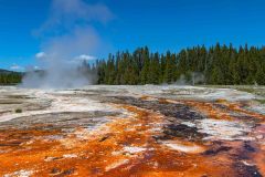 2022-06-Yellowstone-596