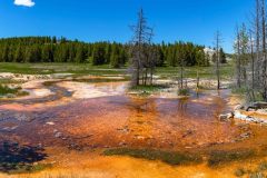 2022-06-Yellowstone-610-Pano