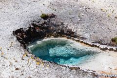 2022-06-Yellowstone-616