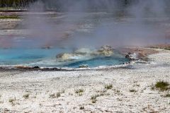 2022-06-Yellowstone-633