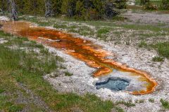 2022-06-Yellowstone-660