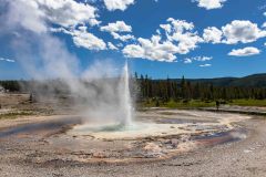 2022-06-Yellowstone-737