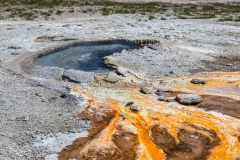 2022-06-Yellowstone-759