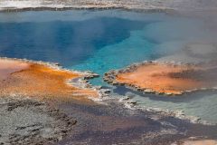 2022-06-Yellowstone-763