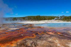 2022-06-Yellowstone-819