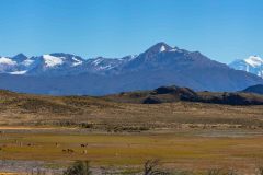 2023-03-Patagonia-NP-539-Pano