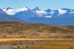 2023-03-Patagonia-NP-547