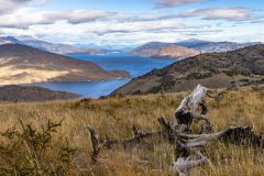 2023-03-Patagonia-NP-592