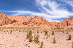 2023-01-San-Pedro-de-Atacama-023-Pano