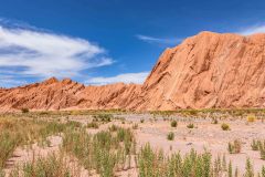 2023-01-San-Pedro-de-Atacama-031