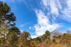 2023-04-Villarica-NP-062-Pano