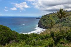 2022-03-Big-Island-Waipio-Valley-15