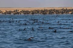 2023-08-Walvis-Bay-215